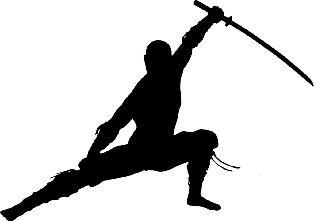 تاريخ النينجا ninja ninjitsu